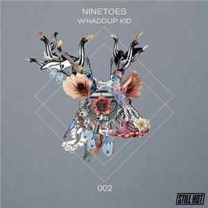 Ninetoes - Whaddup Kid FLAC