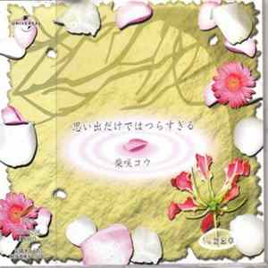 柴咲コウ - 思い出だけではつらすぎる FLAC