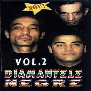 Doru de la Târgoviște și Băieții Veseli din Mangalia - Diamantele Negre Vol. 2 FLAC