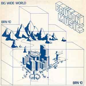Various - Big Wide World FLAC