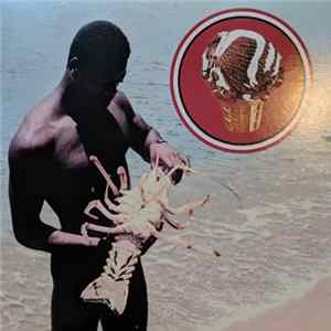 The Drips - The Drips FLAC