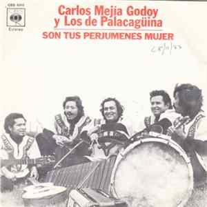 Carlos Mejía Godoy y Los De Palacagüina - Son Tus Perjumenes Mujer FLAC