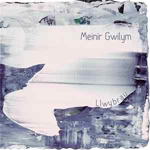 Meinir Gwilym - Llwybrau FLAC