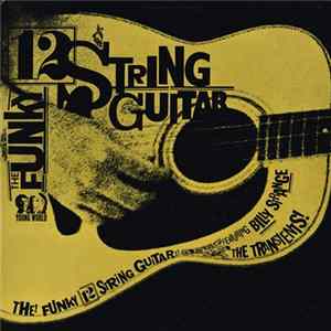 Billy Strange And The Transients - The Funky Twelve String Guitar FLAC