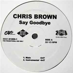 Chris Brown - Say Goodbye FLAC