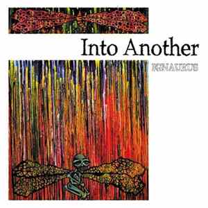 Into Another - Ignaurus FLAC