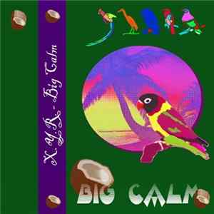 X.Y.R. - Big Calm FLAC