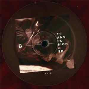 Various - Transfusion EP FLAC