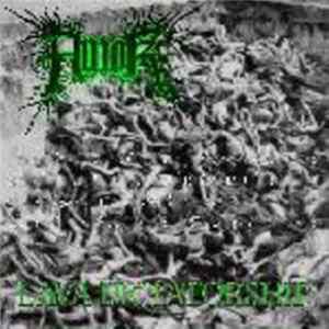 Amok - Lava Dictatorship FLAC