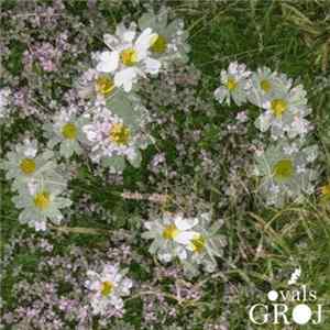 Groj - Ovals EP FLAC