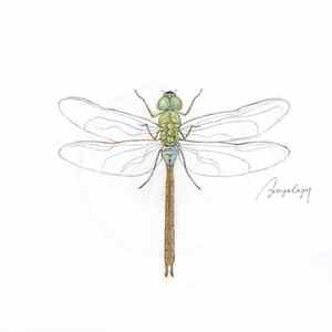 Anoyology - Shabauta / Amor FLAC
