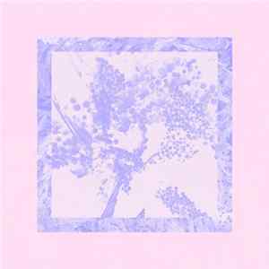 holymachines - Image Version FLAC