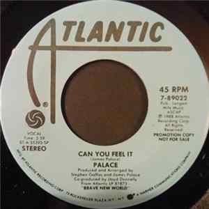 Palace - Can You Feel It FLAC