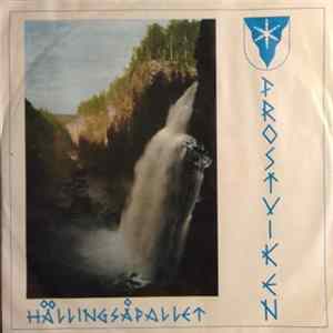 Various - Frostviken FLAC