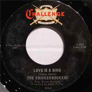 The Knickerbockers - Love Is A Bird FLAC