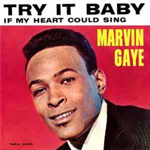 Marvin Gaye - Try It Baby FLAC