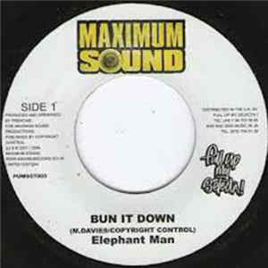 Elephant Man - Bun It Down FLAC