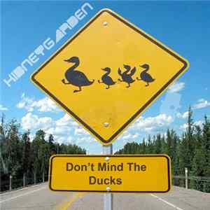 Kidneygarden - Don't Mind The Ducks FLAC