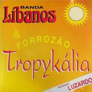 Banda Libanos & Forrozão - Tropykália FLAC
