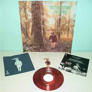 Crystal Thoughts - The Pagan FLAC