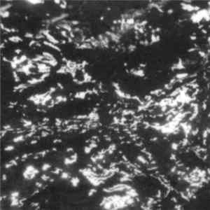 Grouper - A I A FLAC