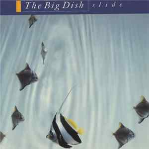The Big Dish - Slide FLAC