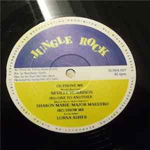 Various - Jungle Rock Muzik FLAC