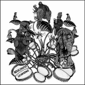 Truckers Of Husk - Accelerated Learning FLAC
