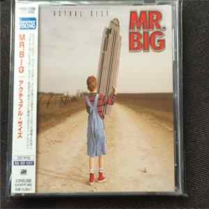 Mr. Big - Actual Size FLAC