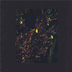 Dark Sky - The Passenger FLAC