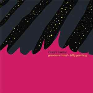 Billy Gomberg - Gowanus Canal FLAC