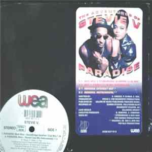 Stevie V - Paradise FLAC