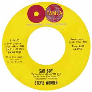 Stevie Wonder - Sad Boy FLAC