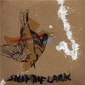 Ray Off - Split The Lark FLAC