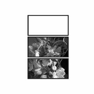 Motion Sickness Of Time Travel - Ballade For A Flower Moon FLAC