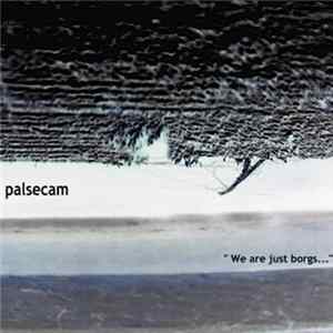 Palsecam - We Are Just Borgs FLAC