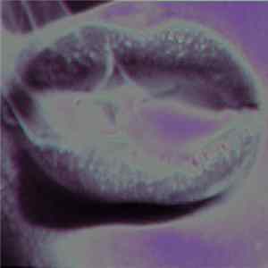 OKKVLT KɅTT - Blvck Hearts FLAC