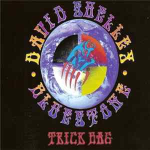 David Shelley And Bluestone - Trick Bag FLAC