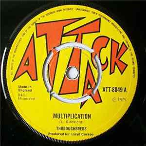 Thoroughbreds - Multiplication FLAC