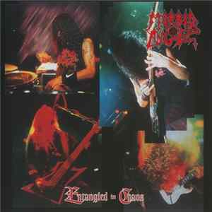 Morbid Angel - Entangled In Chaos FLAC