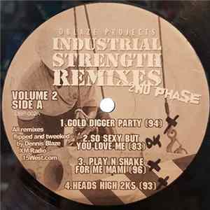 Dennis Blaze - Industrial Strength Remixes 2nd Phase FLAC