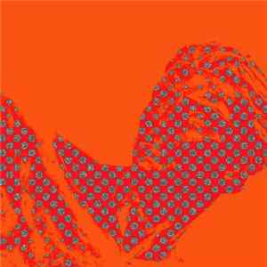 7TTY - 2etcetera FLAC