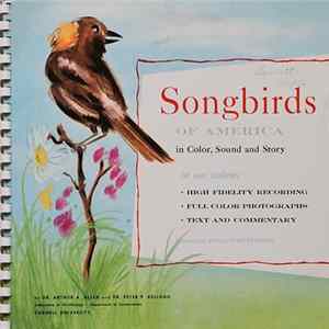 Dr. Arthur A. Allen & Dr. Peter P. Kellogg - Songbirds Of America FLAC