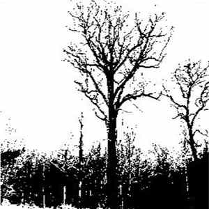 Noite / Forest Grave - Noite / Forest Grave I FLAC