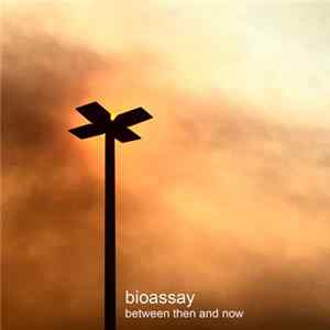 Bioassay - Between Then And Now FLAC