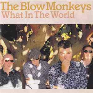 The Blow Monkeys - What In The World FLAC