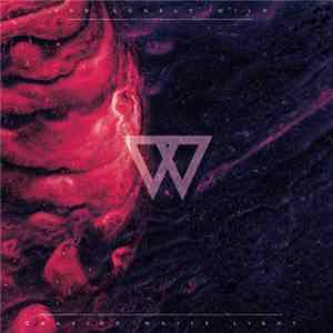 The Lonely Wild - Chasing White Light FLAC