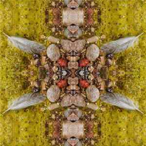 Seven Feathers Rainwater - 15 Apple Musicians FLAC
