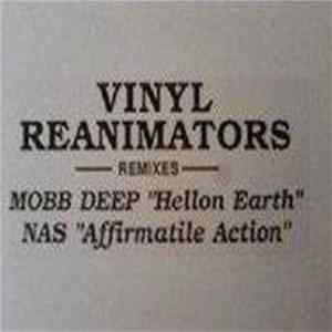 Various - Vinyl Reanimators Remixes FLAC