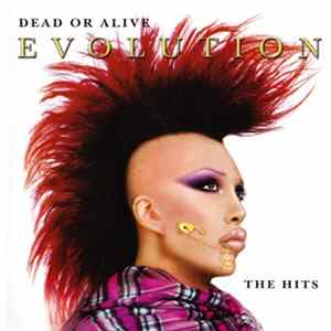 Dead Or Alive - Evolution - The Hits FLAC